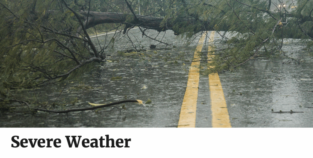 heavy rain and tree fallen blocking road